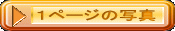 Py[W̎ʐ^ 